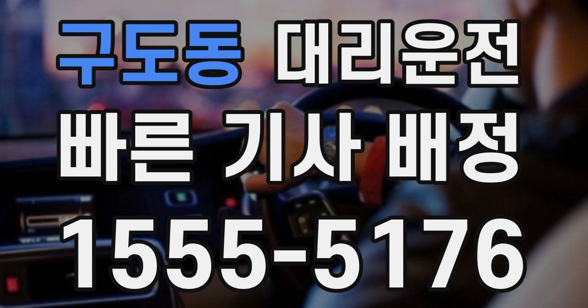 일일대리기사