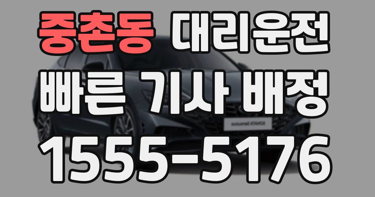 일일대리기사