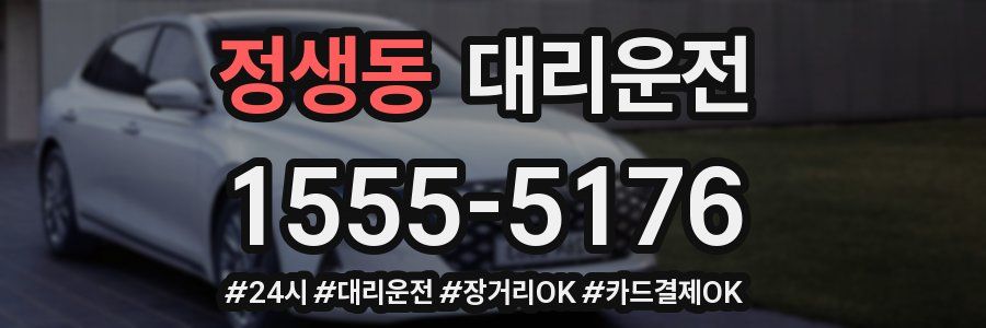 정생동 대리운전
