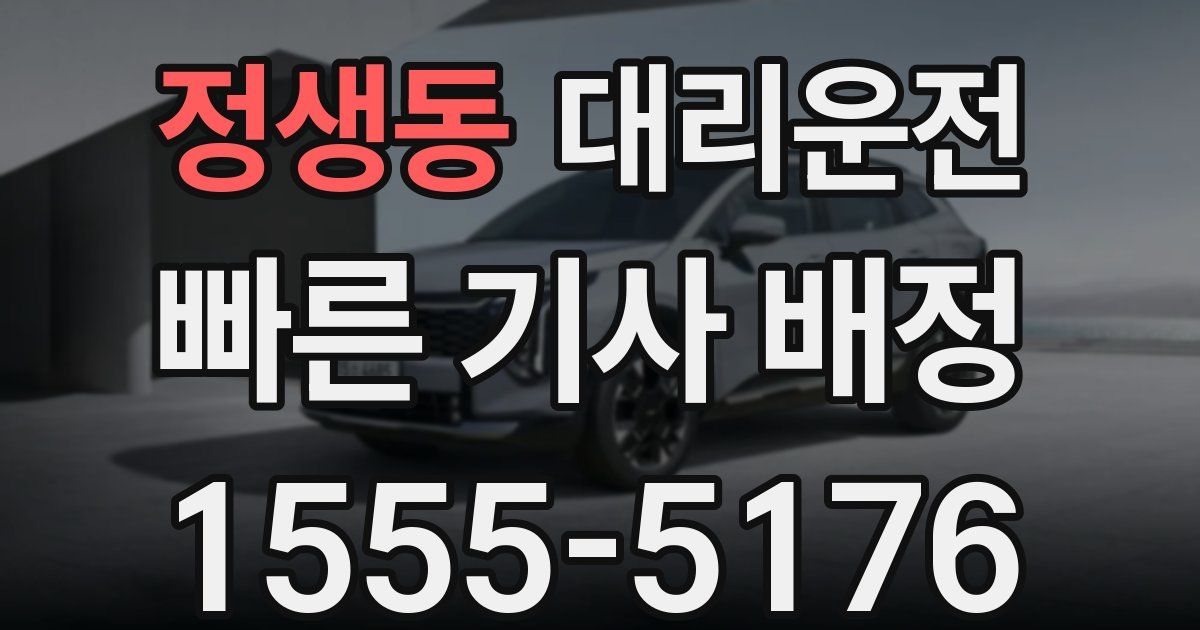 일일대리기사