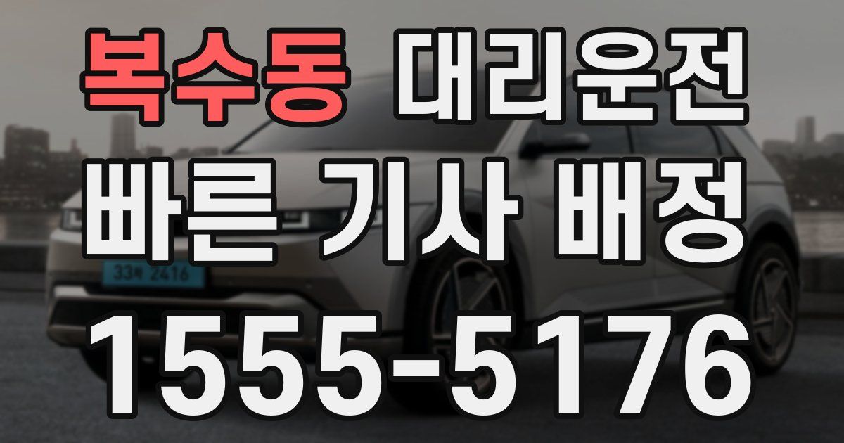 일일대리기사