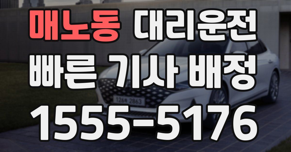 일일대리기사