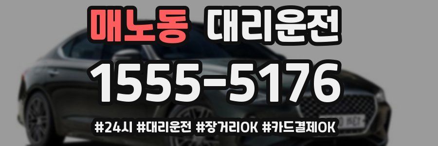 매노동 대리운전