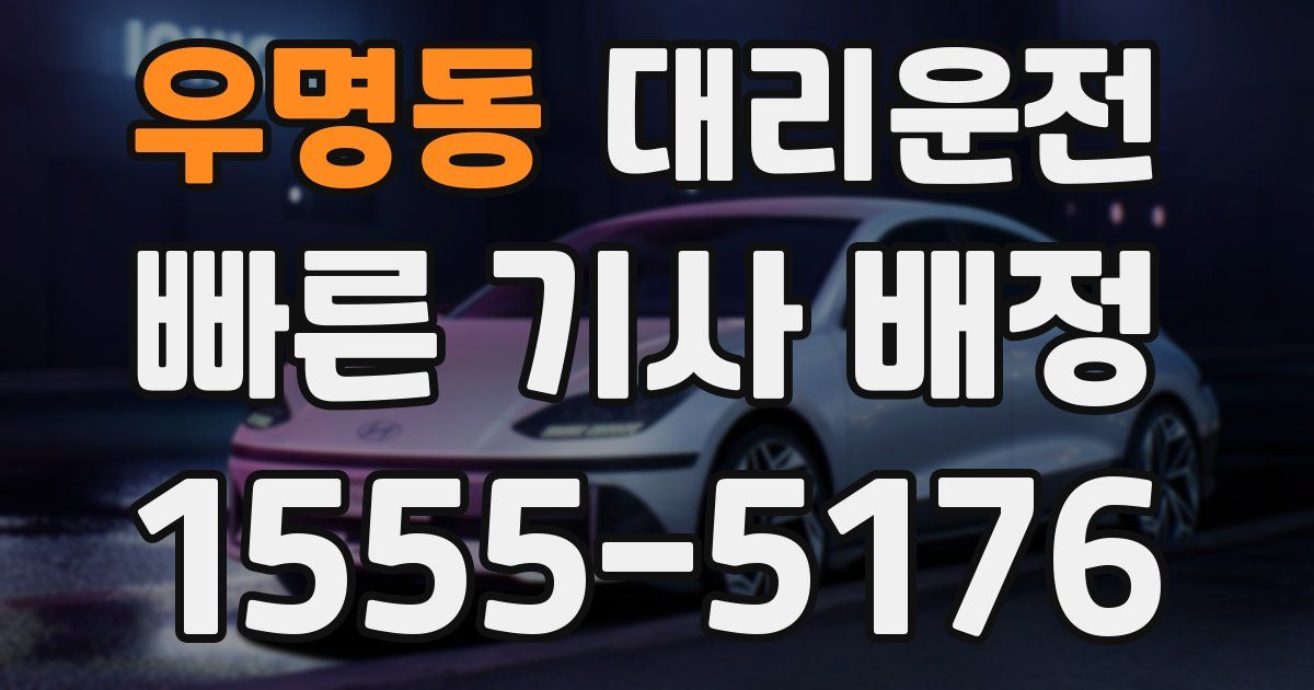 일일대리기사