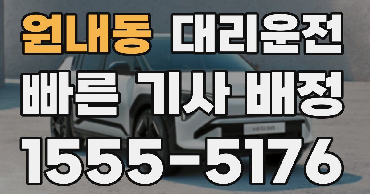 일일대리기사