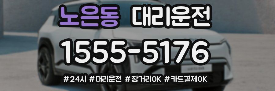 노은동 대리운전