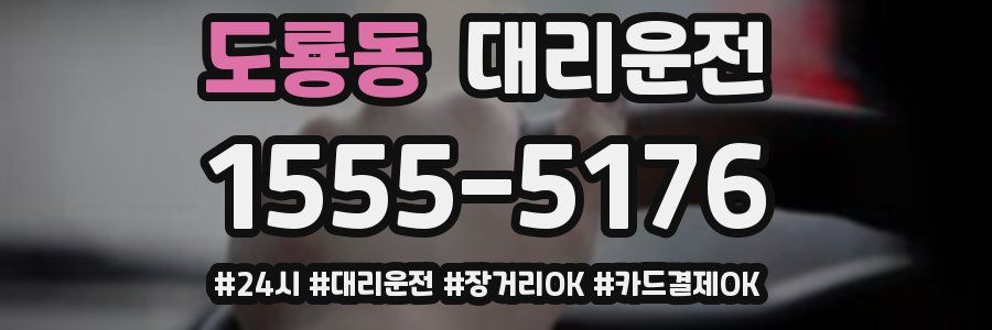 도룡동 대리운전