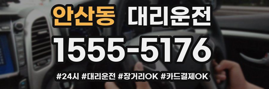 안산동 대리운전