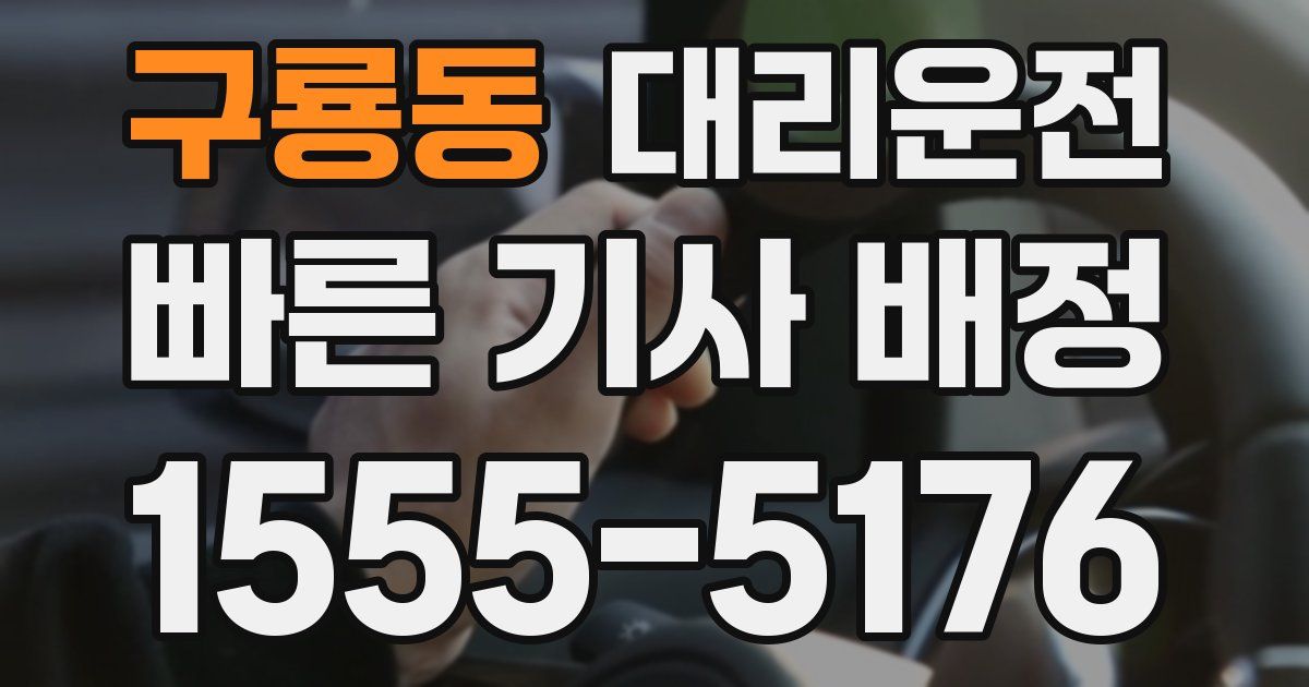 일일대리기사