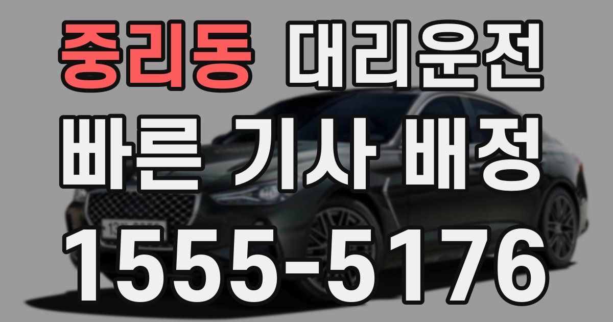 일일대리기사