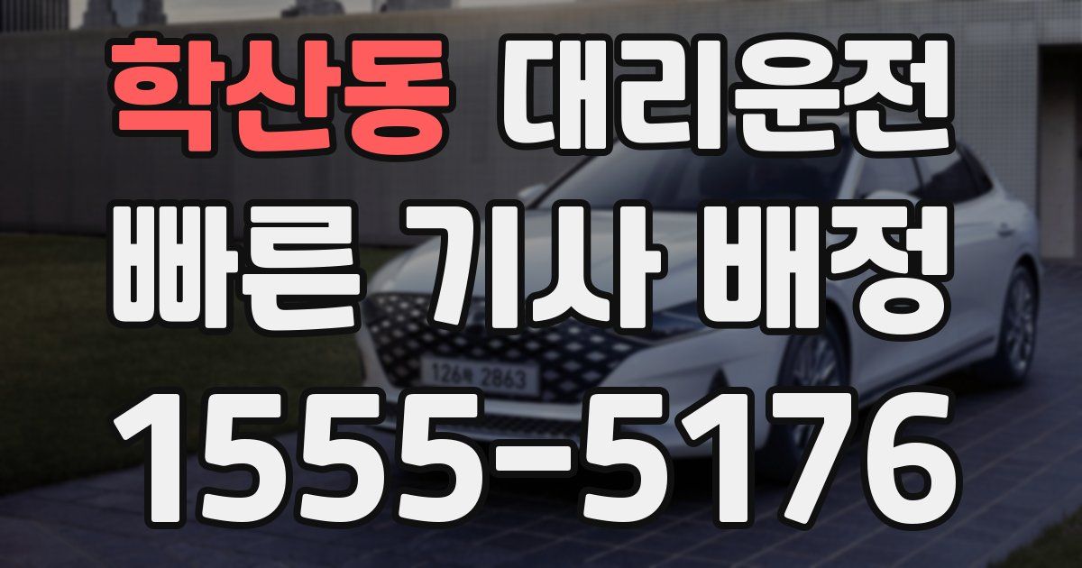일일대리기사