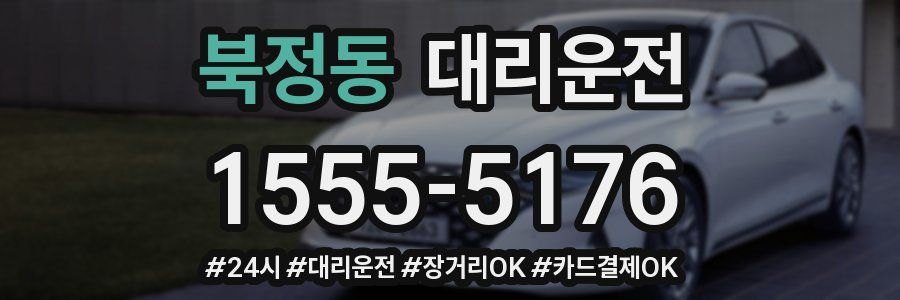 북정동 대리운전