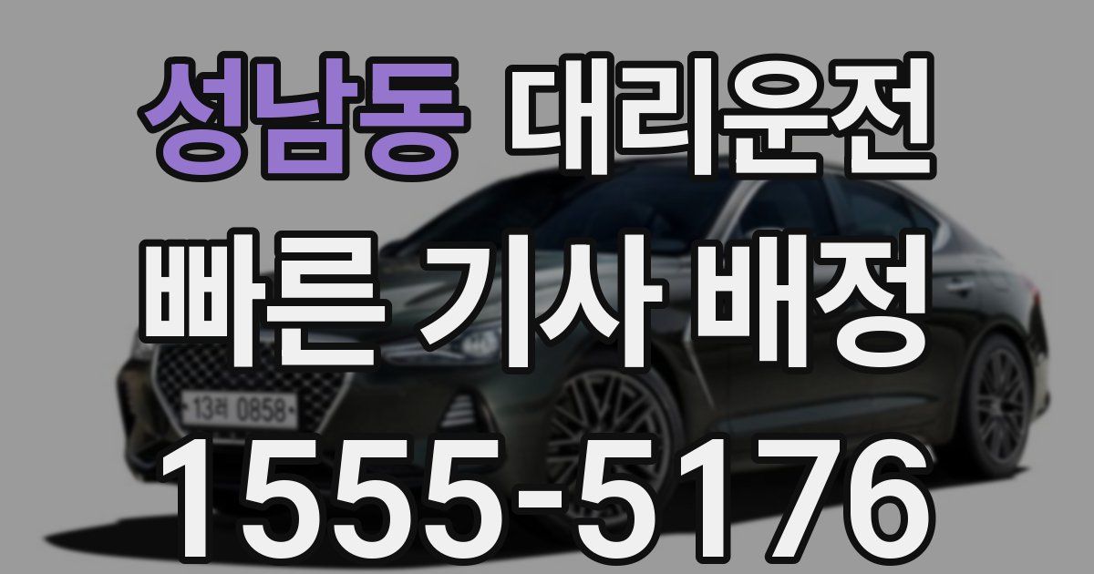 일일대리기사