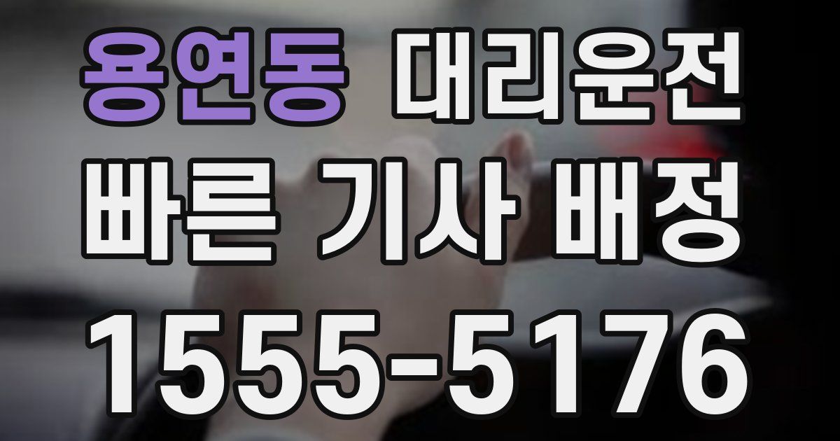일일대리기사