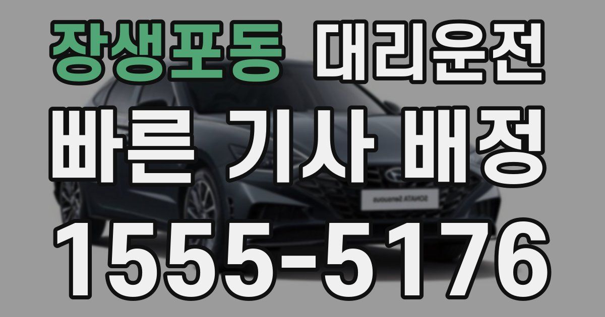 일일대리기사