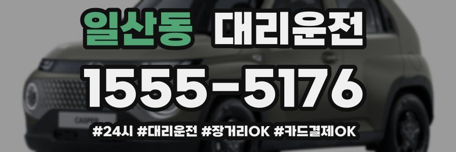 일산동 대리운전