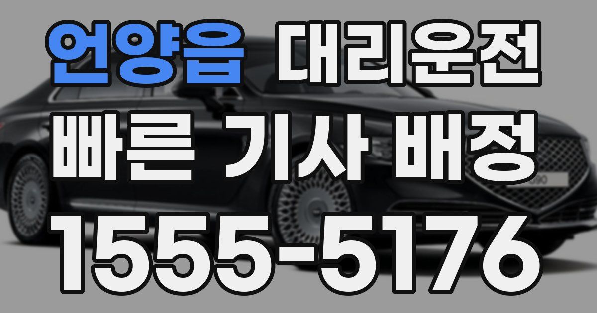 일일대리기사