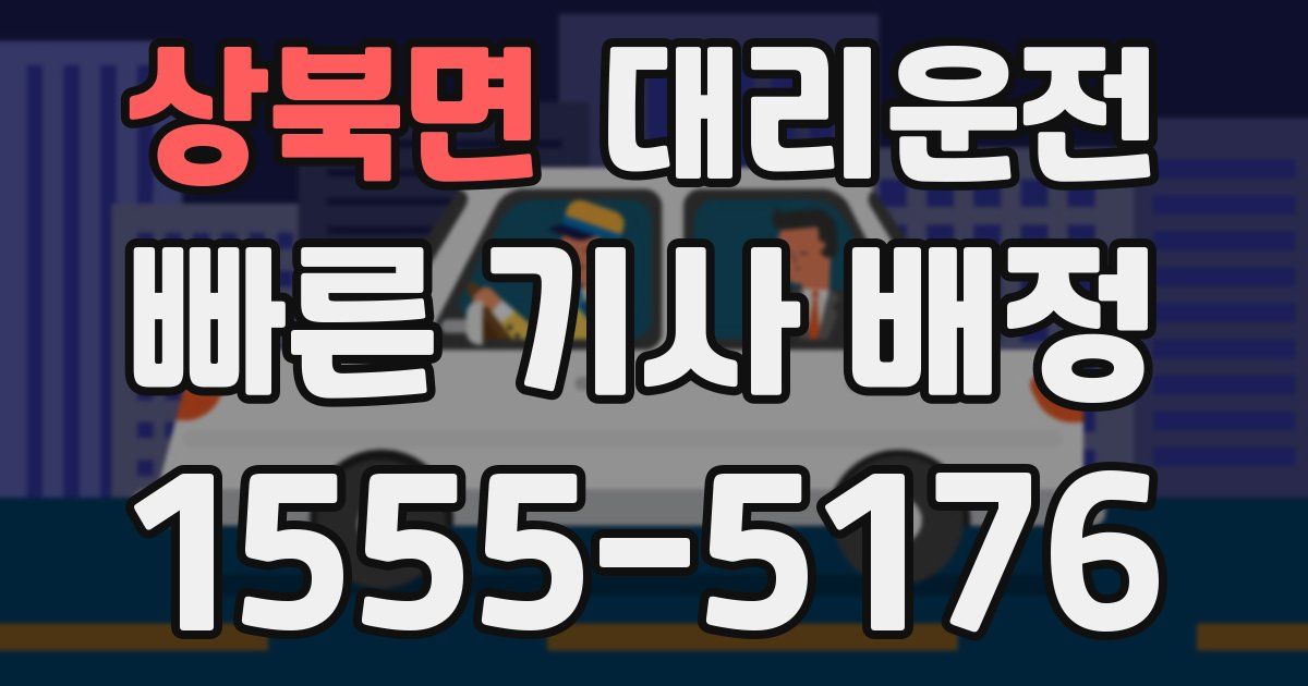 일일대리기사
