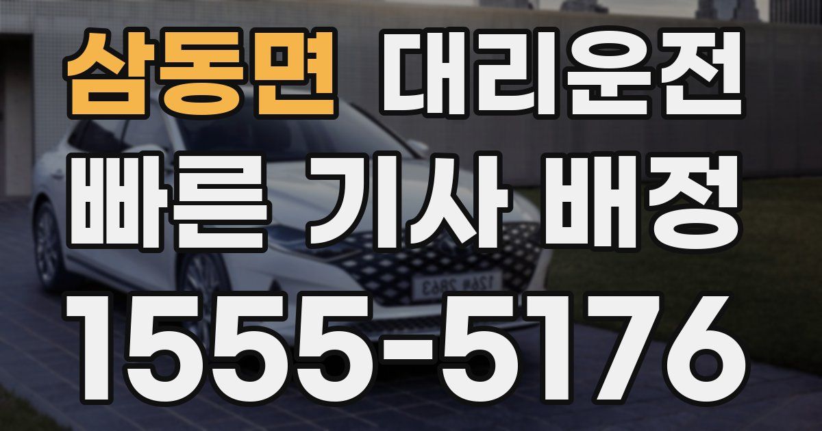 일일대리기사