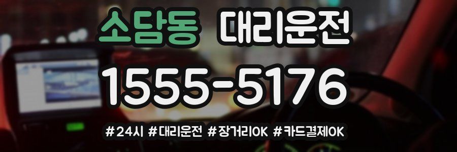 소담동 대리운전