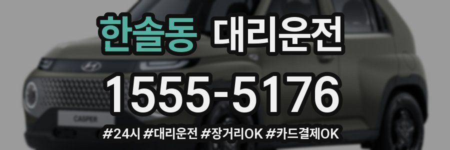 한솔동 대리운전