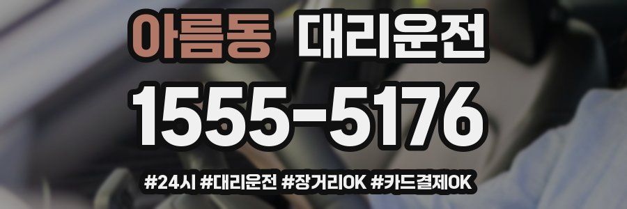 아름동 대리운전