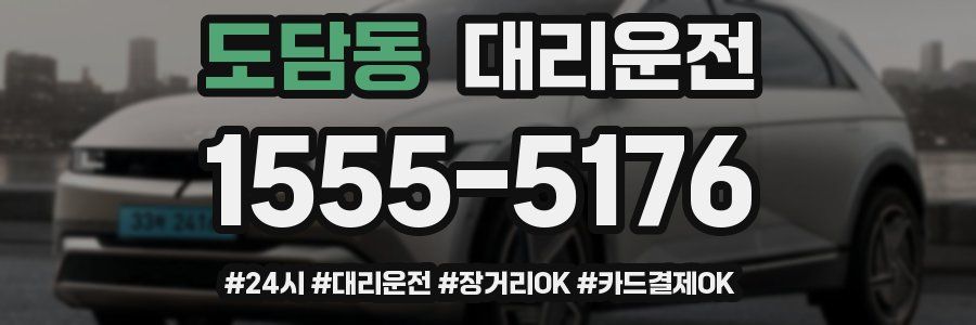 도담동 대리운전