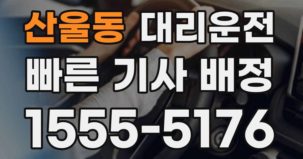 일일대리기사