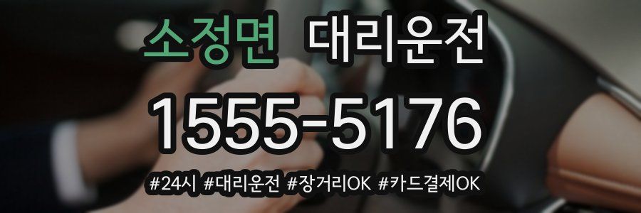 소정면 대리운전
