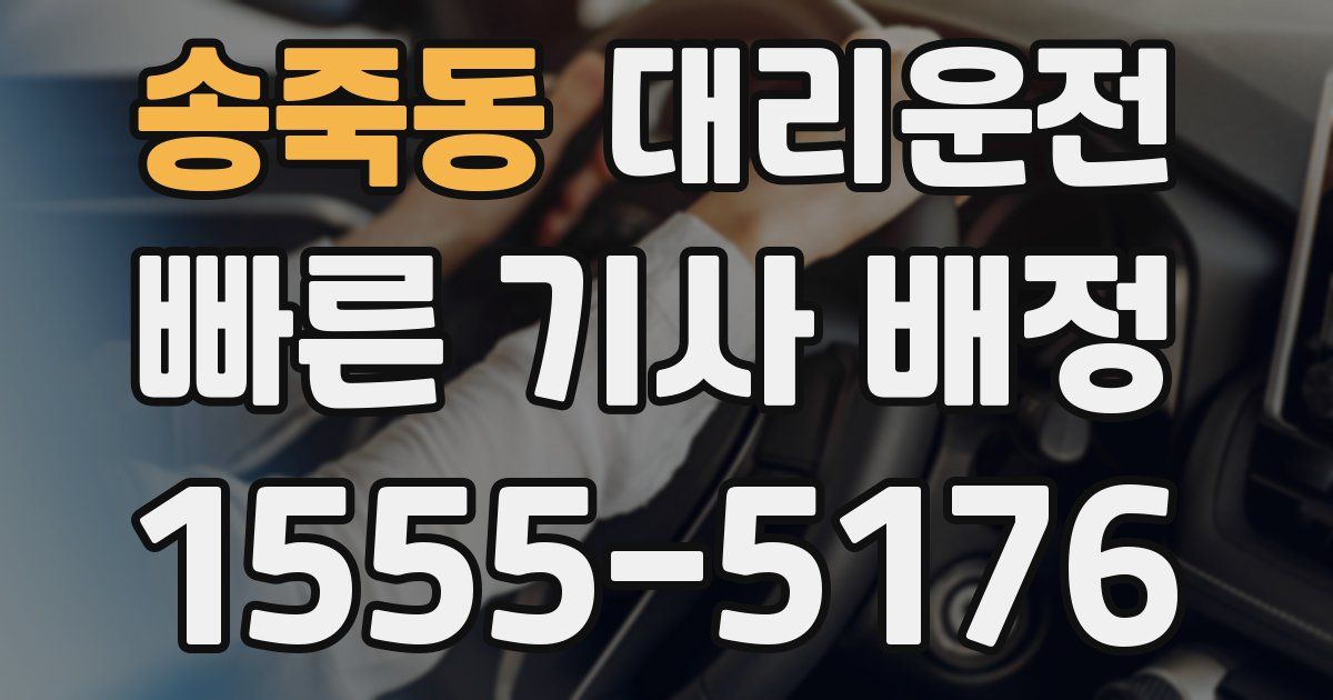 일일대리기사