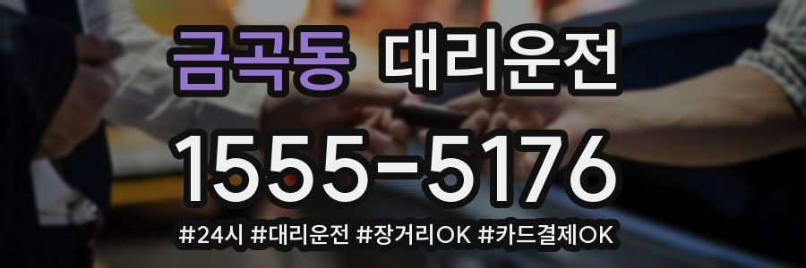 금곡동 대리운전