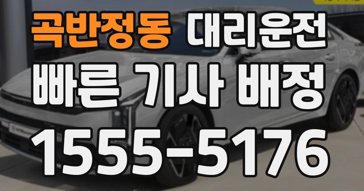일일대리기사
