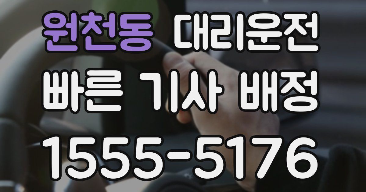일일대리기사