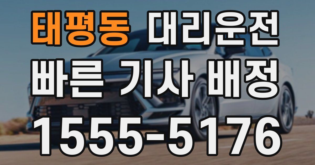 일일대리기사