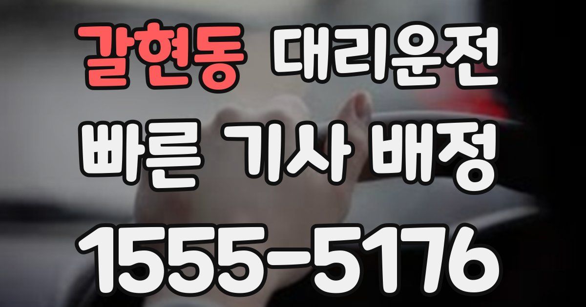 일일대리기사