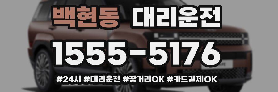 백현동 대리운전