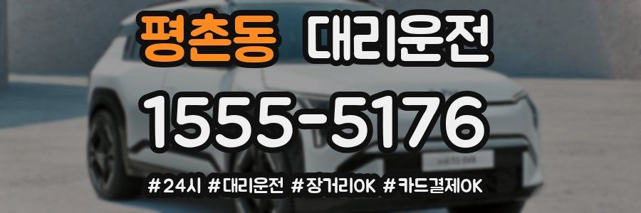 평촌동 대리운전