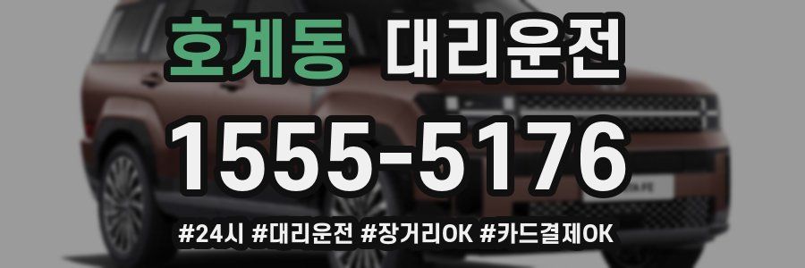 호계동 대리운전