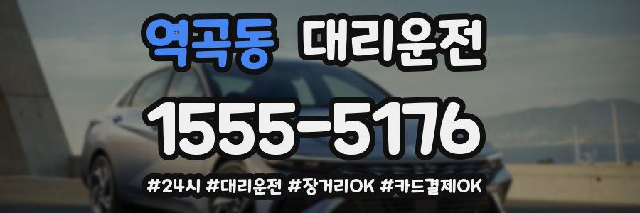 역곡동 대리운전