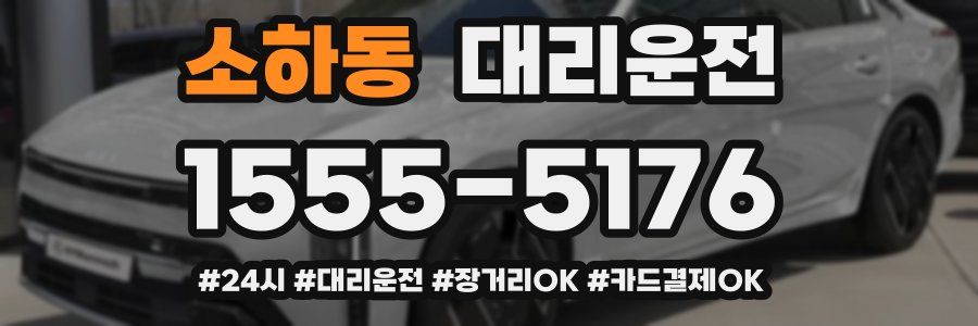 소하동 대리운전