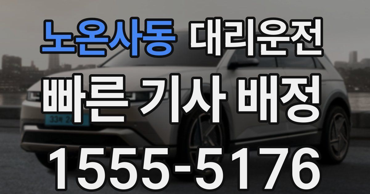 일일대리기사