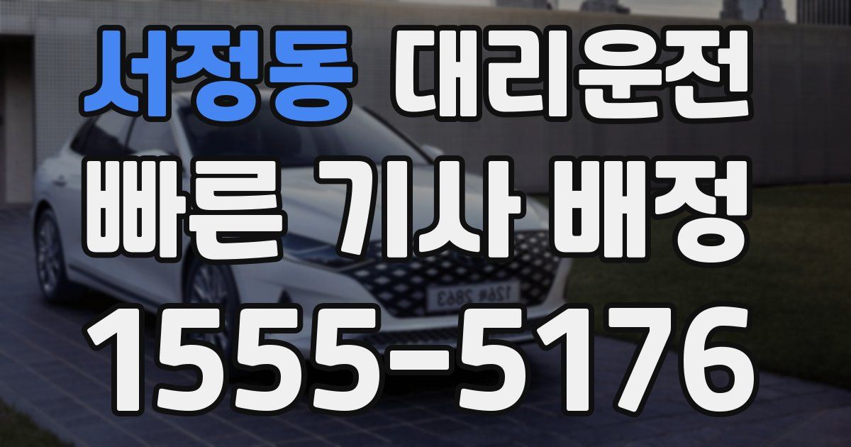 일일대리기사