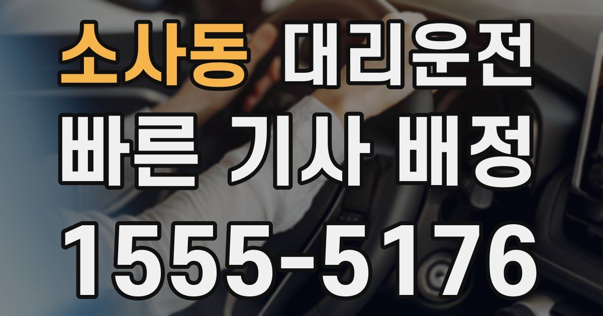 일일대리기사