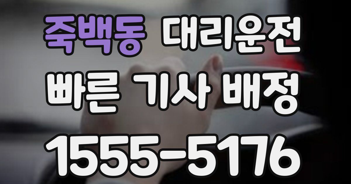 일일대리기사