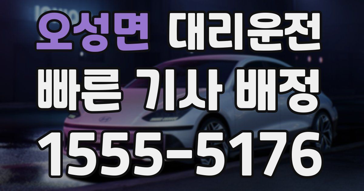 일일대리기사