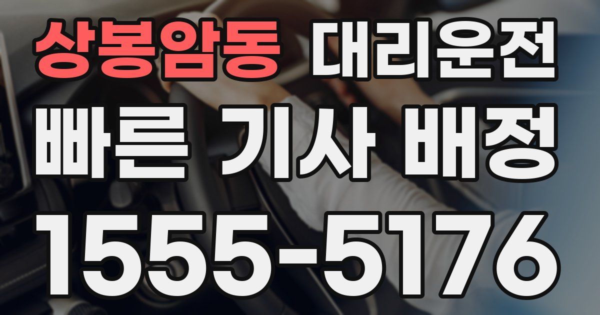 일일대리기사
