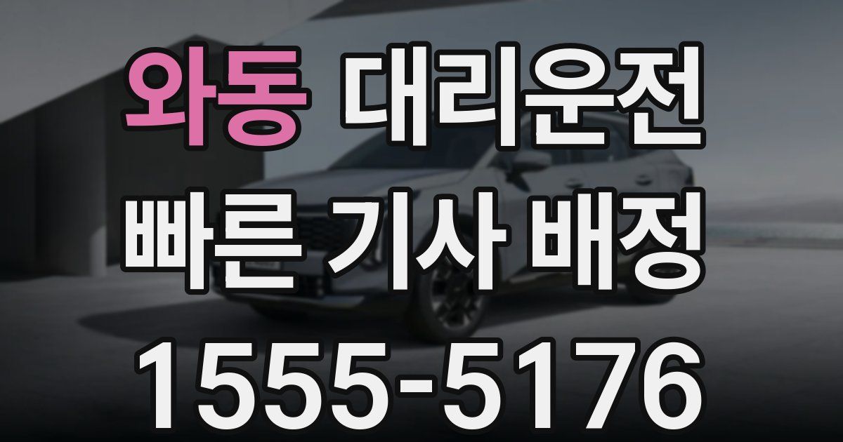 일일대리기사
