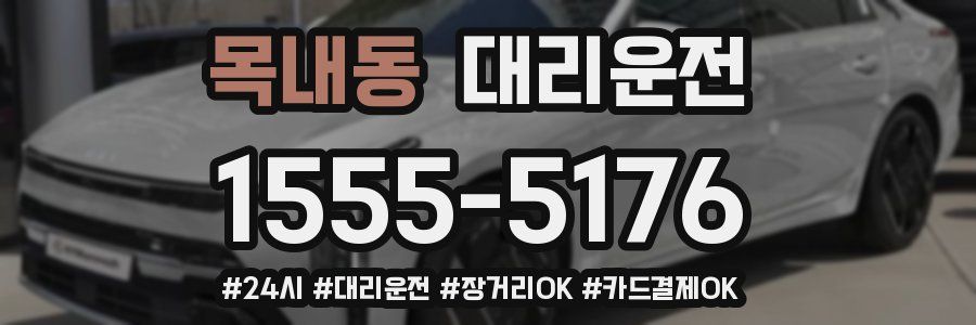 목내동 대리운전