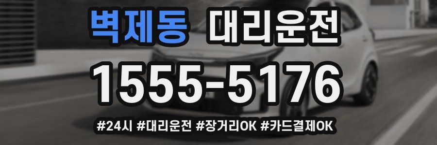 벽제동 대리운전