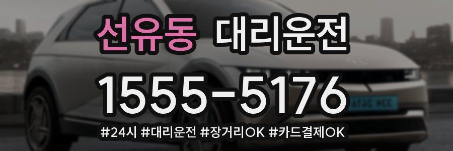 선유동 대리운전